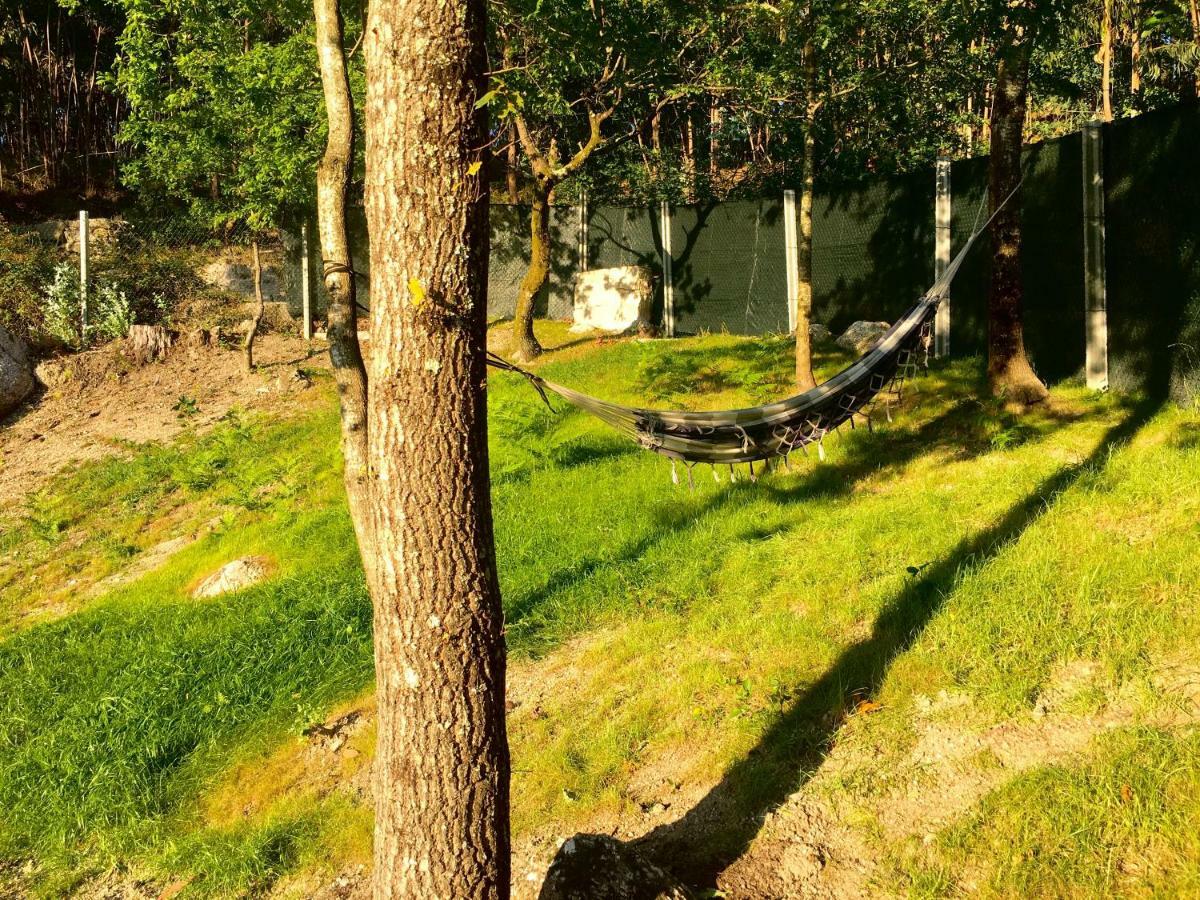 The Green Roof House Vieira do Minho Exteriér fotografie